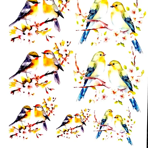 ترانسفر روبون کد 09