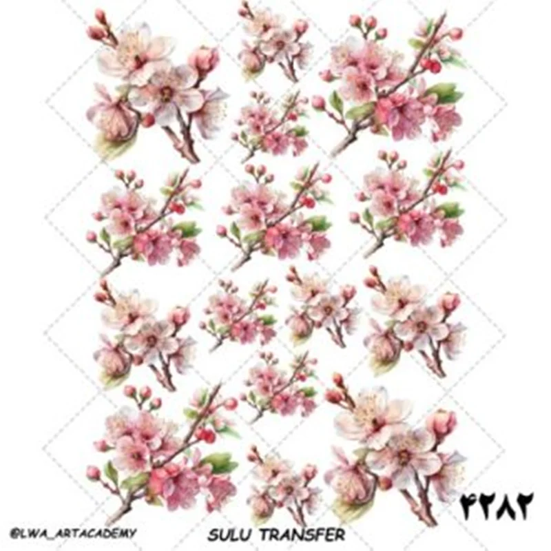 ترانسفر سولو کد ۴۲82