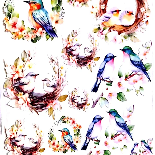 ترانسفر روبون کد 11