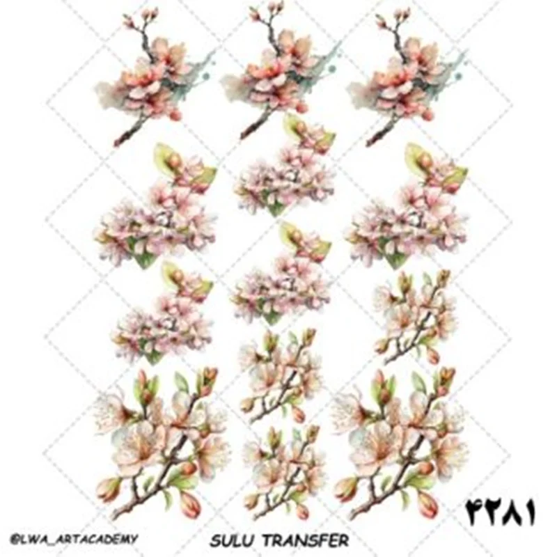 ترانسفر سولو کد ۴۲81