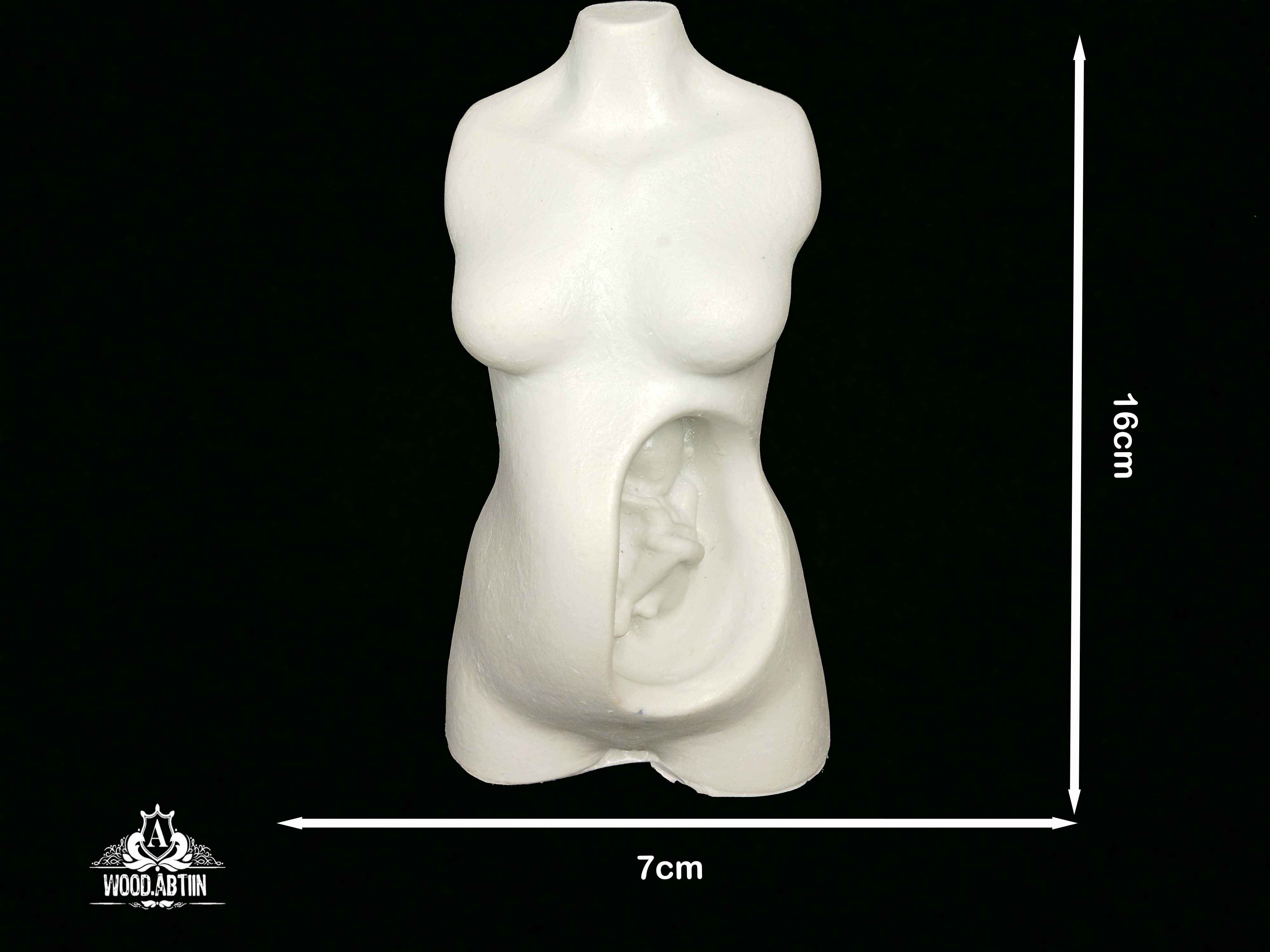 پلی‌استر مادر باردار