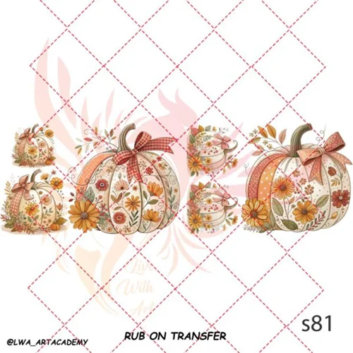 ترانسفر روبون کوچکs81
