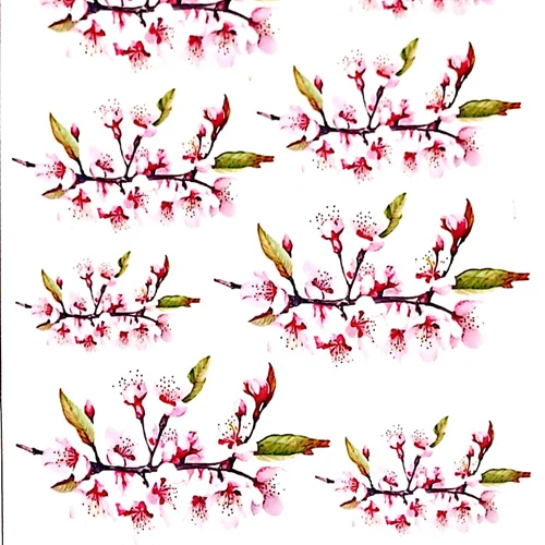 ترانسفر روبون کد 29