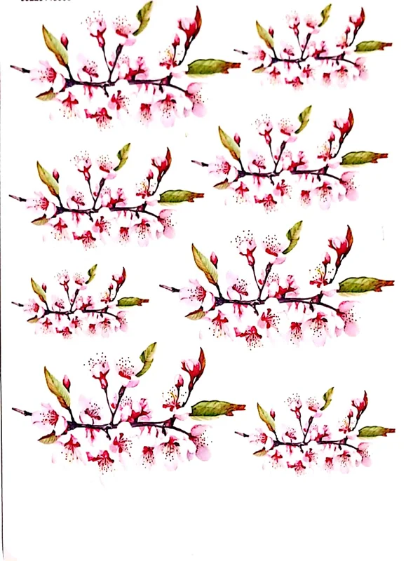 ترانسفر روبون کد 29