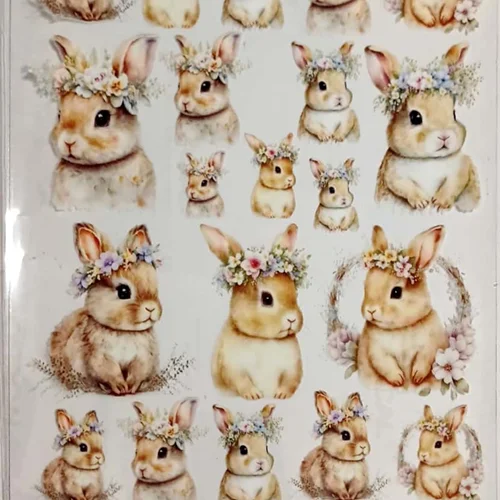 ترانسفر روبون کد 03