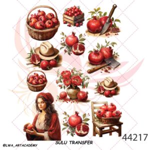 ترانسفر سولو کد44217