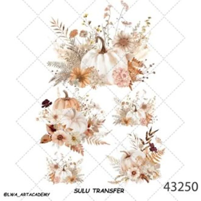 ترانسفر سولو کد 43250