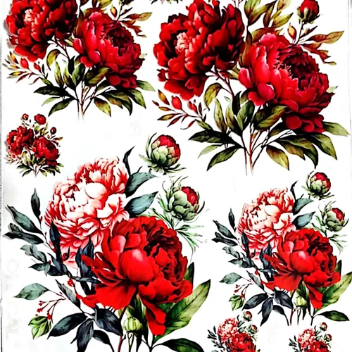 ترانسفر روبون کد 01