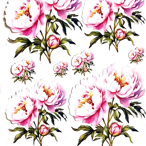 ترانسفر روبون کد 27