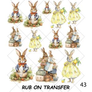 ترانسفر روبون کد43