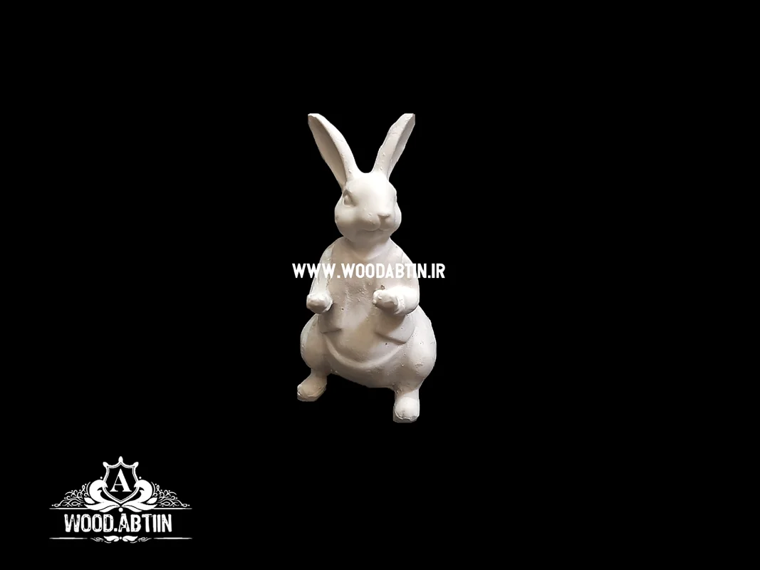 خرگوش کد ۹۱۱۶