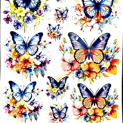 ترانسفر روبون کد 05