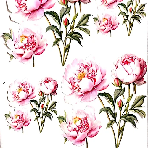 ترانسفر روبون کد 26