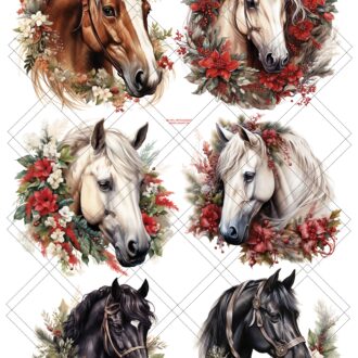 ترانسفر سولو کد44236