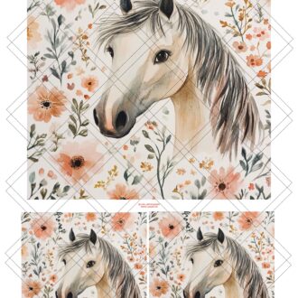 ترانسفر سولو کد44244